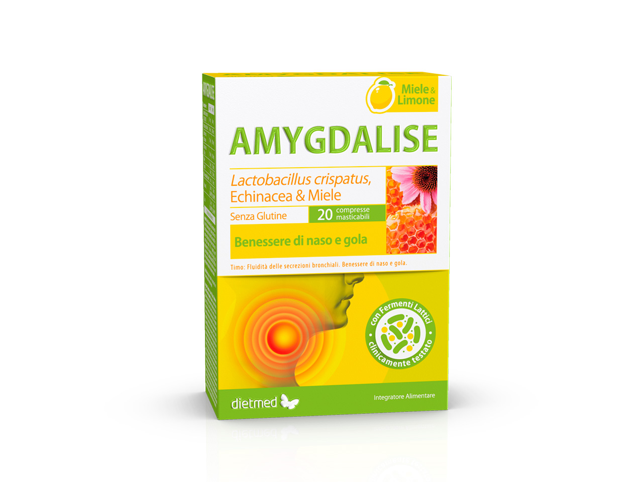 AMYGDALISE - immagine 2